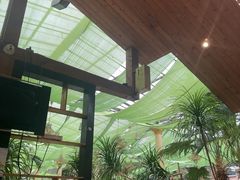 -陶然居·重庆菜(生态园店)