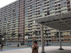 -彩虹村