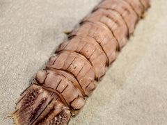 -渔民船说·北塘海鲜·天津菜·海肠捞饭(北塘古镇店)