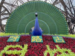 -呀路古热带植物园