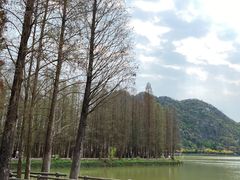 -星湖旅游景区七星岩