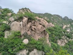 -大岭沟猕猴桃谷风景区