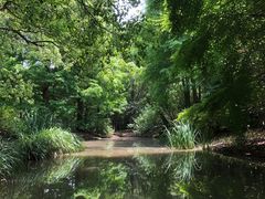 -上海滨江森林公园