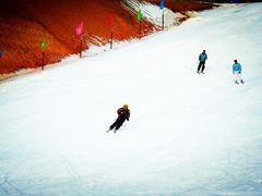 -采薇庄园四季滑雪场