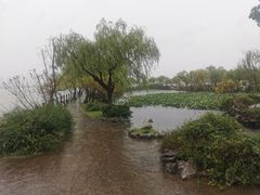 -无锡蠡湖国家湿地公园-蠡园