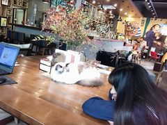 -咖法森林·咖啡  酒吧(天河店)
