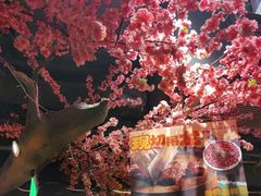 -城墙拐拐火锅(三峡广场黑金冠店)