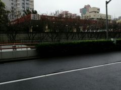 -红星美凯龙（金桥商场店）-地上停车场