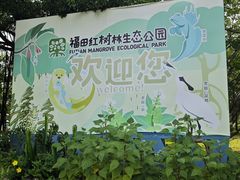 -福田红树林生态公园