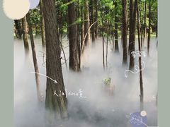 -东湖落雁景区