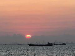 -宝安西湾红树林湿地公园