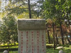 -木塔寺遗址生态公园