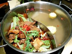 -手选潮汕鲜活牛肉火锅(二七广场店)