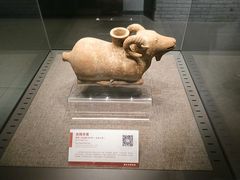 -平原博物院