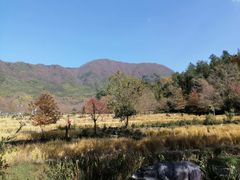 -塔川景区