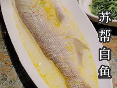 -苏帮袁Sue Cuisine(南开大悦城店)