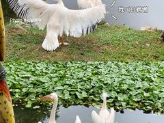 -红山森林动物园