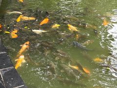 -柳侯公园