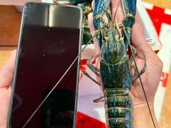 -熊记虾王·小龙虾(东晓南店)
