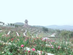 -密云玫瑰情园