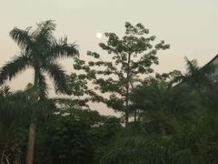 -深圳大梅沙京基洲际度假酒店