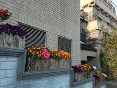 -上海和平饭店华懋阁 Cathay Room