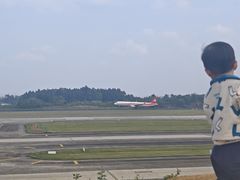 -空港花田景区