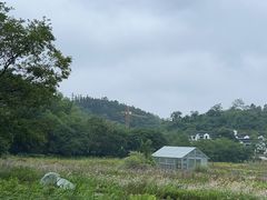 -杭州千岛湖开元度假村