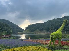 -广州市石门国家森林公园