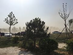 -武清南湖绿博园