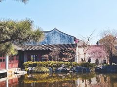 -艺圃