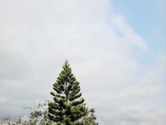 -鹿回头风景区