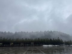 -黄龙山原始森林景区