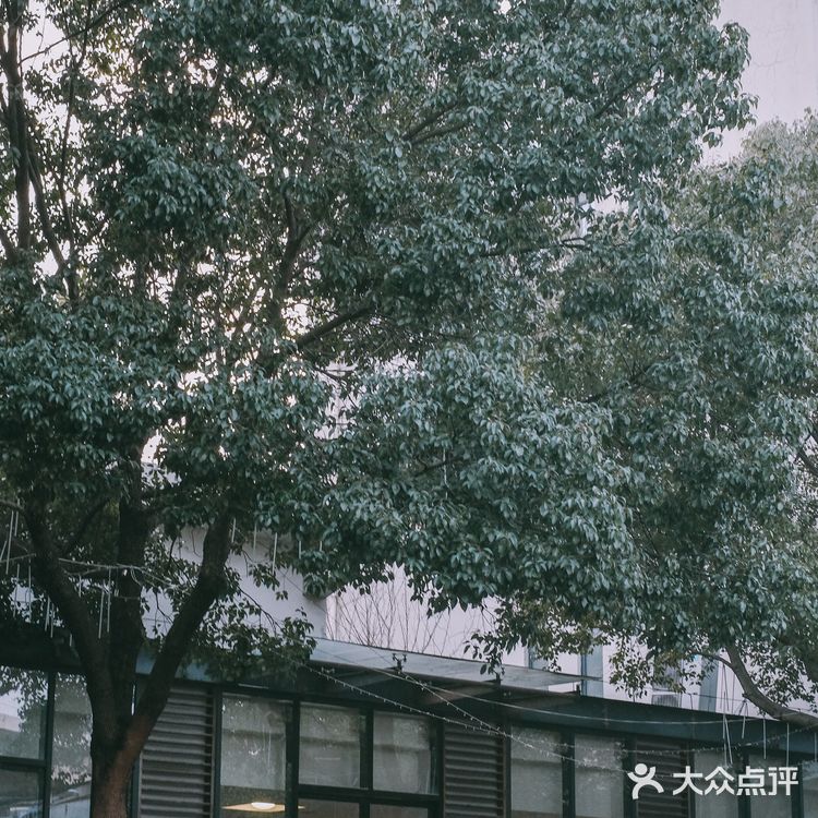 江浙沪必泡的温泉❕南京汤山攻略
