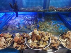 -老家黄墩小错鸡·活海鲜