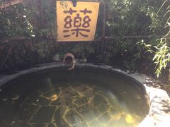 -仁爱团泊湖温泉中心