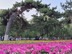 -万泉公园