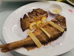 -骏莱海鲜鱼港(五角场店)