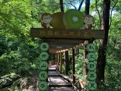 -大岭沟猕猴桃谷风景区