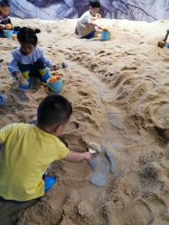 -恐龙探索乐园(磁器口店)