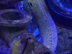 -成都浩海立方海洋公园