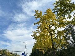 -牛街清真满恒記(平安里西大街店)