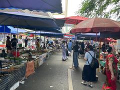 -西双版纳傣族园