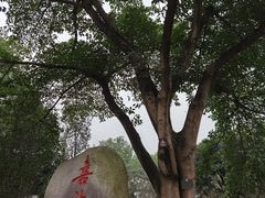 -成都武侯祠博物馆