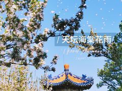 -天坛公园