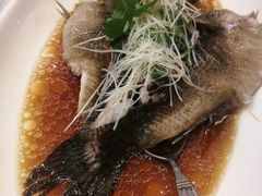 -骏莱海鲜鱼港(五角场店)