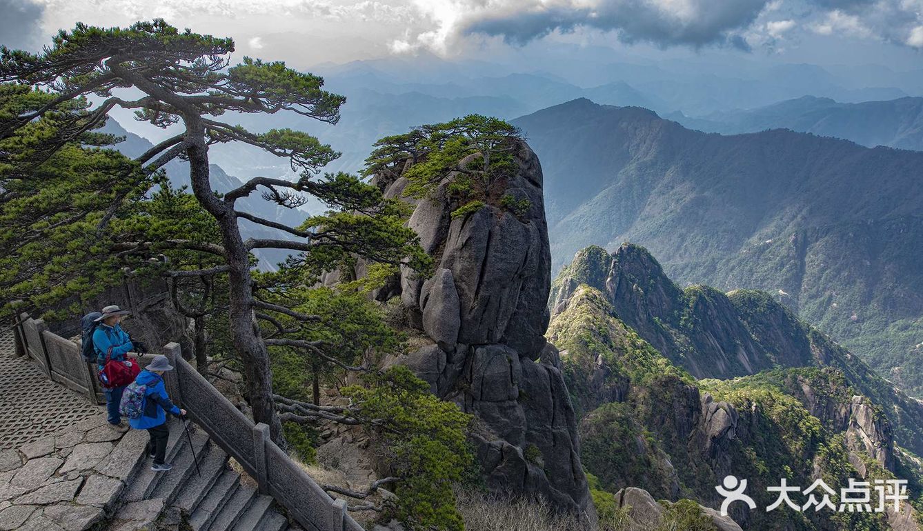 黃山有四絕奇松怪石雲海溫泉而松為首