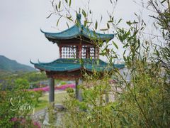 -江南天池