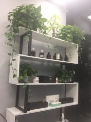 -T-Hair Salon