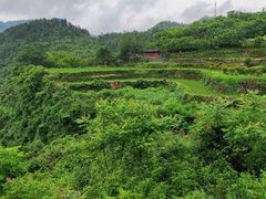 -矮寨·十八洞·德夯大峡谷景区